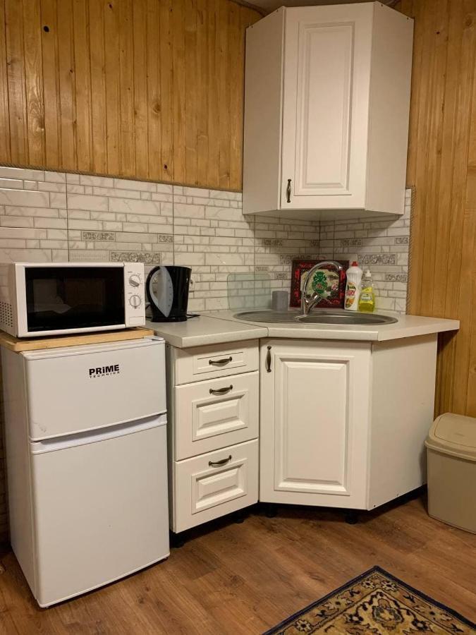 Apartment затишна Vorokhta