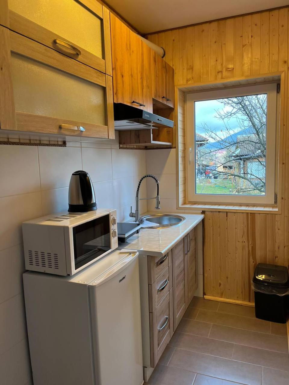 затишна Apartment Vorokhta