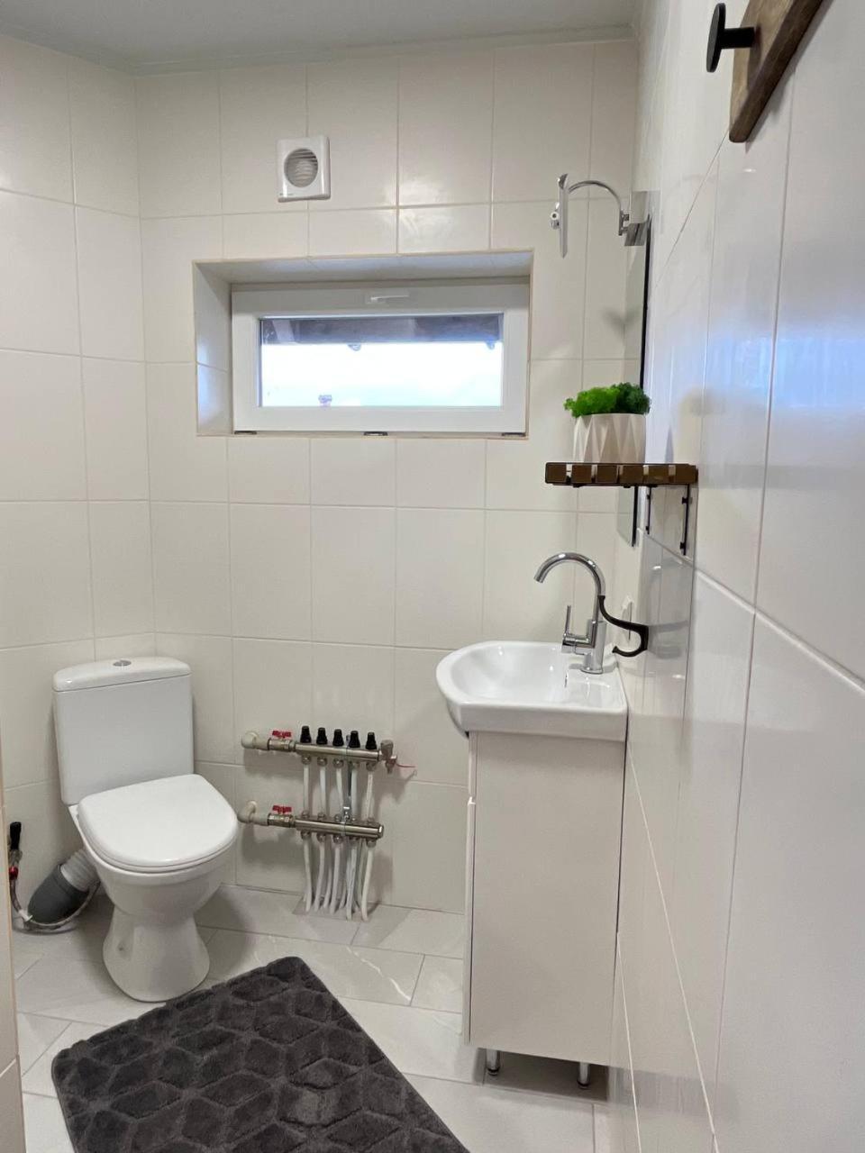 Apartment затишна Vorokhta