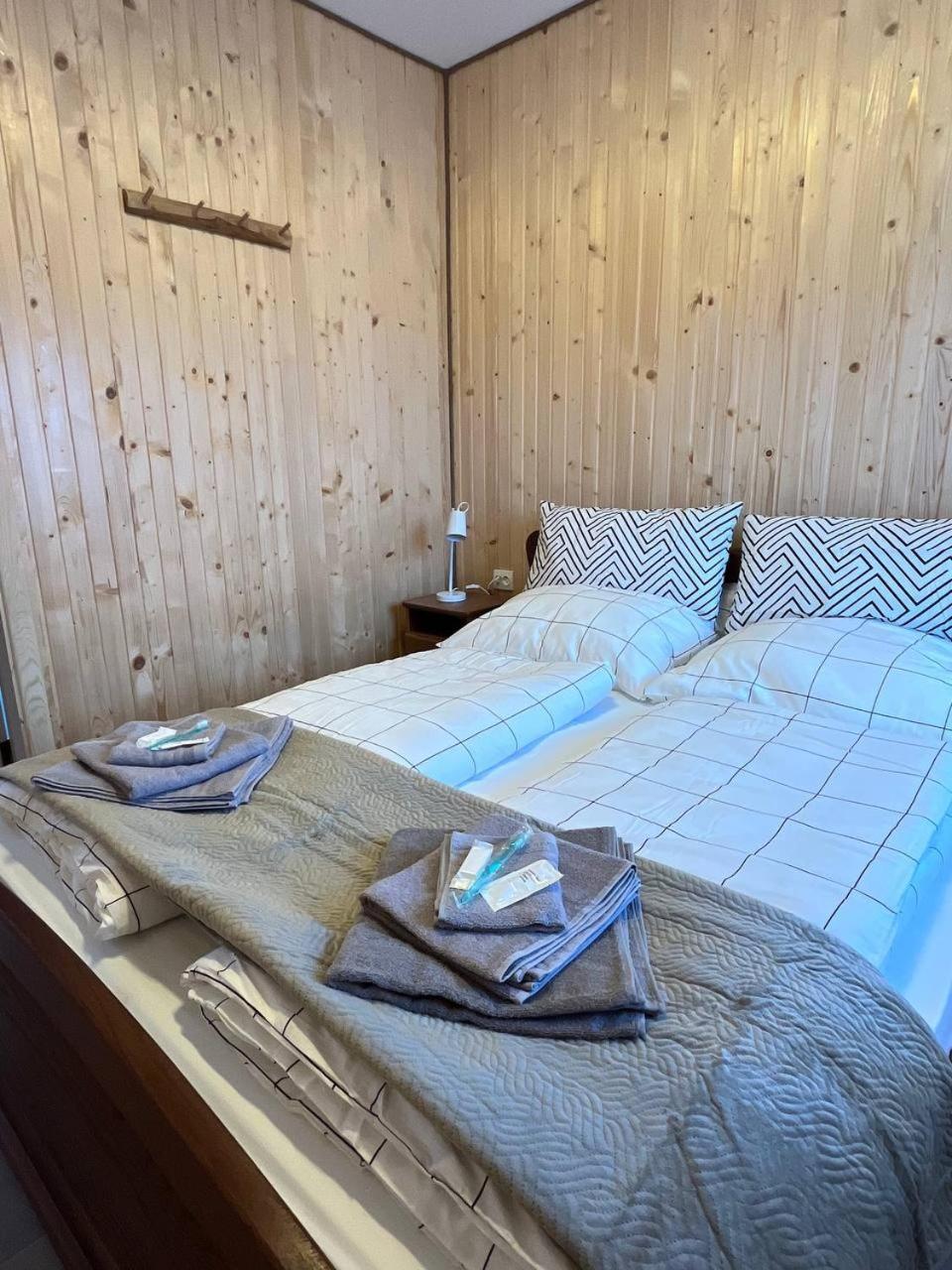 затишна Apartment Vorokhta